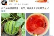 可以吃娱乐圈的瓜