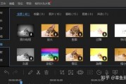 吃瓜娱乐视频剪辑软件哪个好,吃瓜娱乐视频剪辑软件，哪个才是你的最佳选择？